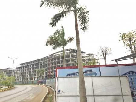 Bán nhanh nhà phố thương mại, trong cụm công nghiệp 700 héc ta, phục vụ 100 nghìn công nhân. Khai thác ngay