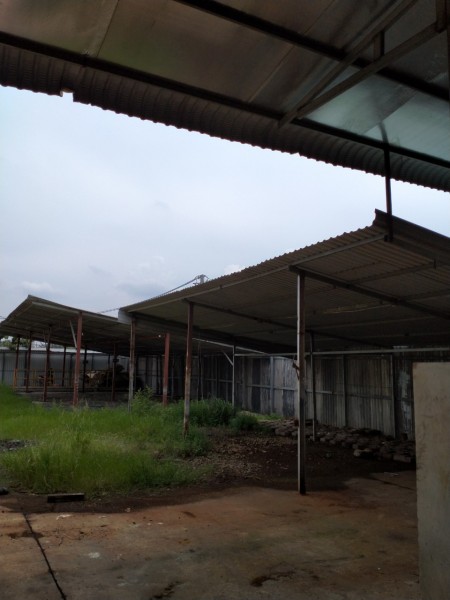 Kho xưởng 1000m2 Bưng Ong Thoàn, Phú Huữ cách Võ Chí Công 200m.