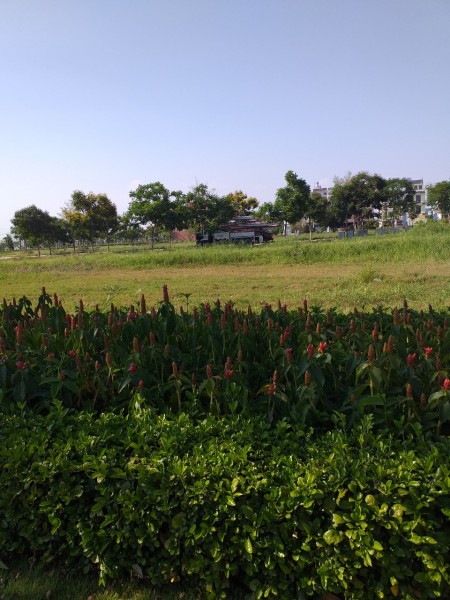 Đất Quận 8 giá bèo cho đầu tư , ở
