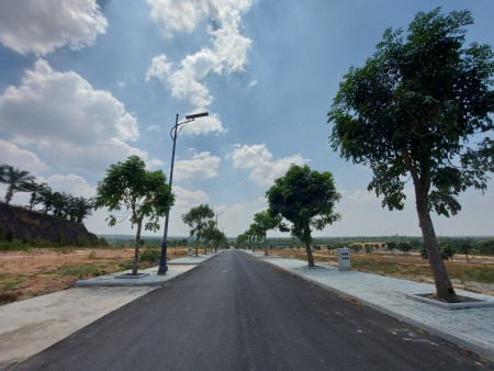 Đi đến slide 6