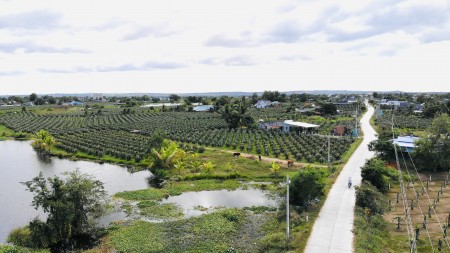 Đi đến slide 6