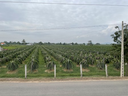 Đất sào 4000m2 CLN xã Hàm Chính, gần kênh sông Quao