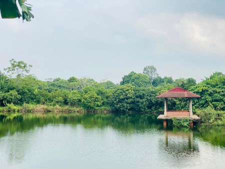 BÁN HƠN 4HA KHUÔN VIÊN CƠ BẢN ĐẸP Ở LƯƠNG SƠN