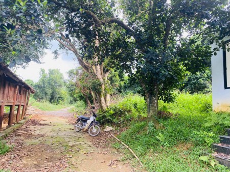 Đi đến slide 6