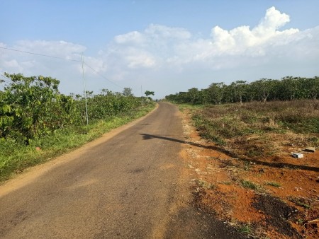 Đi đến slide 6