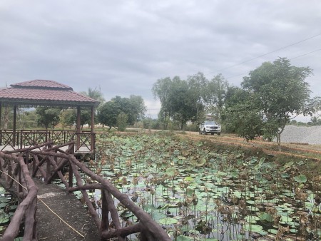 Đi đến slide 5