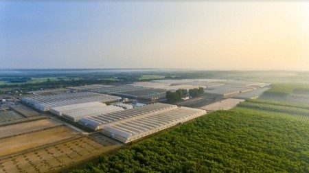 CẦN BÁN GẤP LÔ ĐẤT 1872M2 (230MTC) GIÁ ĐẦU TƯ