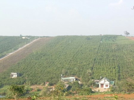 Cần bán đất biệt thự diện tích vuông vức từ 300m2 - 900m2, giá ưu đãi 3,5 triệu/m2.