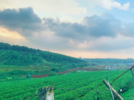 Đi đến slide 2