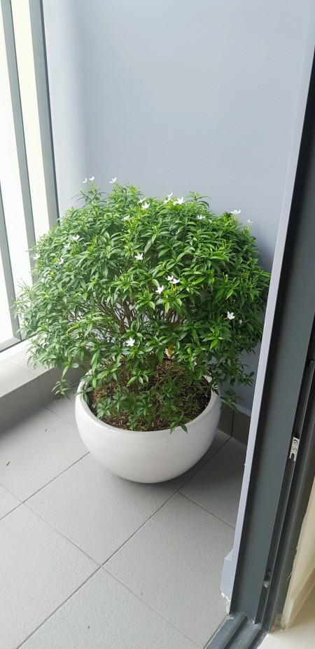 Đi đến slide 9