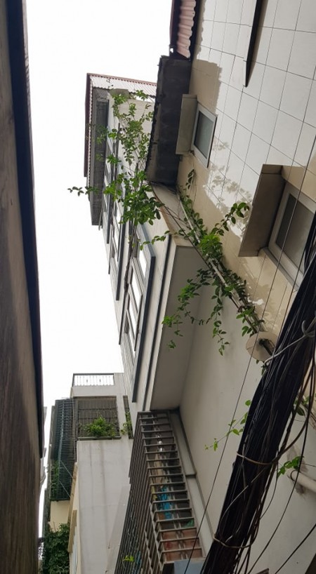Đi đến slide 3