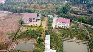 Bán gấp 1ha đất nhà vườn cho những ai yêu thiên nhiên, thích yên tĩnh tại Hàm Chính, Bình Thuận