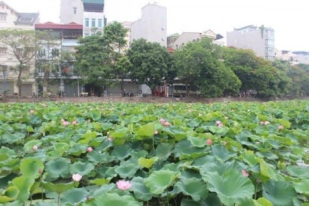 Đi đến slide 2
