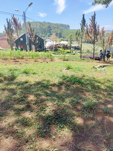 Đi đến slide 2