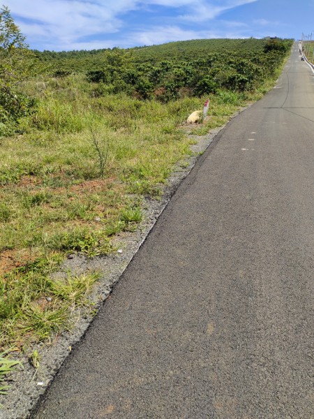 Đi đến slide 6