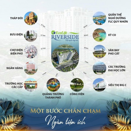 Đi đến slide 5