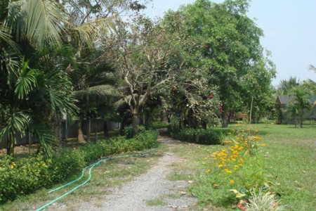 Bán1200m2 Đất Giá Siêu RẺ tại Dầu Tiếng, Bình Dương