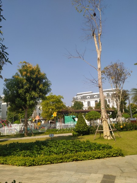 Đi đến slide 5