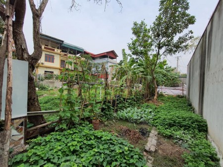 Hiếm: Đất Phúc Lợi 2 mặt tiền, khu vực thông thoáng, 58m2 chỉ 1,95 tỷ