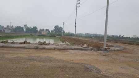 Vì tập trung làm dự án mới nên công ty bds AnVy