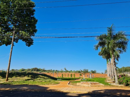 Đi đến slide 8