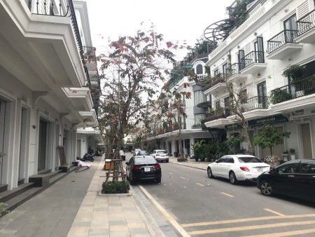 CHUYỂN NHƯỢNG CĂN GÓC HOÀNG GIA 2 BIỆT THỰ VINHOME DRAGON BAY BẾN ĐOAN
