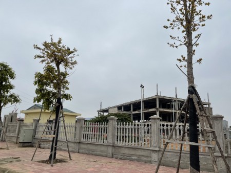 Đi đến slide 5