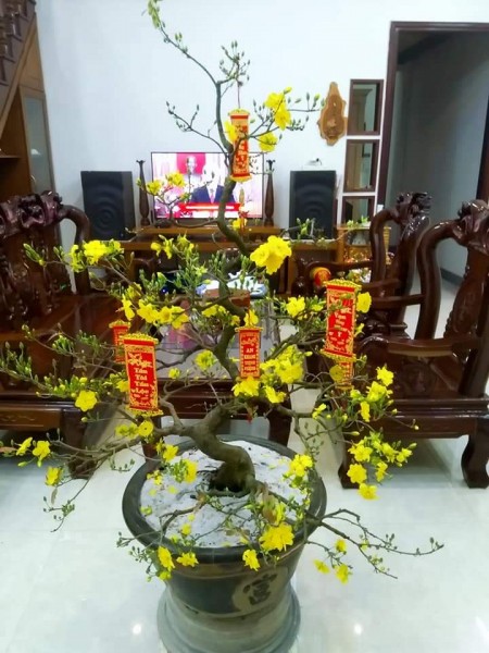 Chính chủ bán nhà cấp 4 gác lửng, 107,5m2, Quảng Nam
