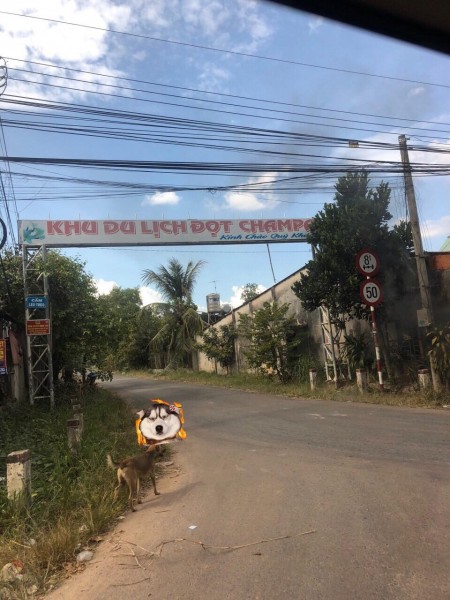 Đất Định An Dầu Tiếng Chính Chủ 1000m2 Gíap Suối