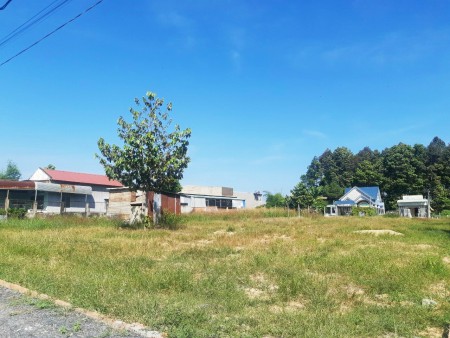 Chủ đất làm Yến bị vỡ nợ ra gấp lô đất Long Thành 2117m2, sổ hồng riêng có 300m2 thổ cư