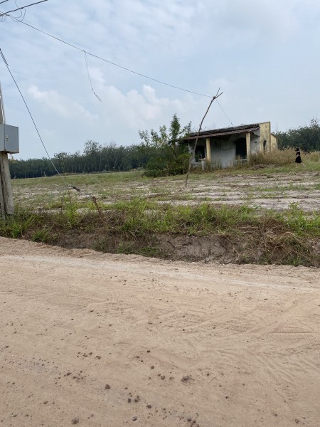Đất Tân Châu Tây Ninh Mỗi nền 60m2 thổ cư, .Thích hợp đầu tư sinh lời,