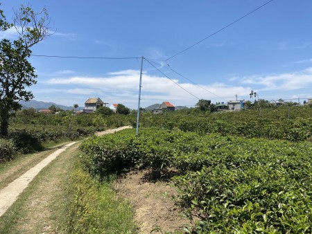 Đi đến slide 5