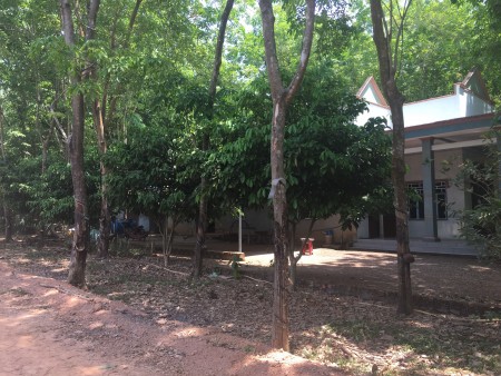 Cần tiền xoay vốn làm ăn bán gấp đất thành phố Đồng Xoài 1054m2 giá 320tr