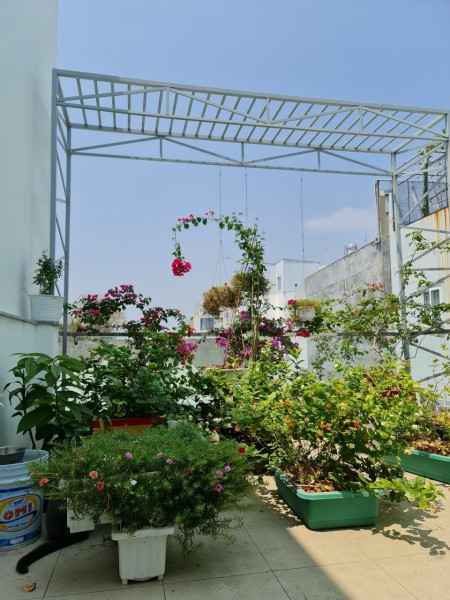 Đi đến slide 11