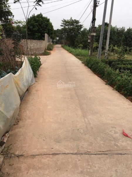 CHÍNH CHỦ CẦN BÁN LÔ ĐẤT 1062 M2 TRONG ĐÓ CÓ 864 M2 ĐẤT THỔ CƯ TẠI BẮC SƠN, SÓC SƠN