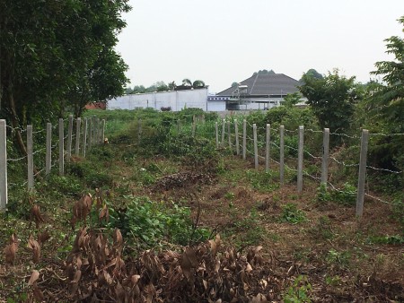 Kẹt tiền bán đất 6x42 số đỏ trao tay tại Võ Thị Sáu Huyện Đất Đỏ Bà Rịa