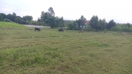 Cho thuê đất 2000 m2 làm nhà kho, nhà xưởng.