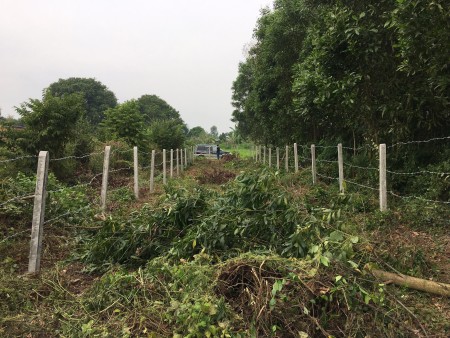 Đi đến slide 6
