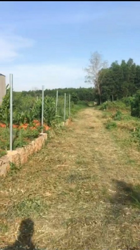 Đi đến slide 8
