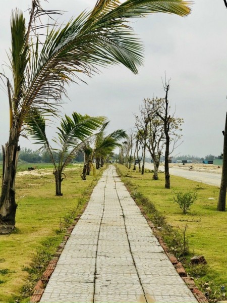 Đi đến slide 4