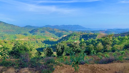 Đi đến slide 8