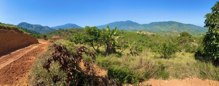 Đi đến slide 11