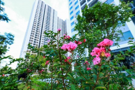 BÁN NHIỀU CĂN HỘ VINHOMES GRAND PARK .STUDIO 33M2