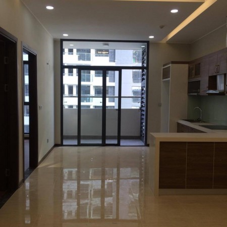 Chính chủ cần bán căn hộ Tràng An complex - 2 phòng ngủ - 75m2
