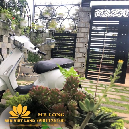 Chỉ 1,9 tỷ sở hữu nhà đẹp TP Bảo Lộc-5x25m