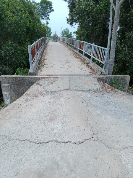 Đi đến slide 5