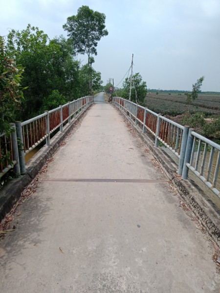 Đi đến slide 7