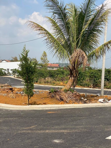 Bán đất thành phố Bảo Lộc giá rẻ