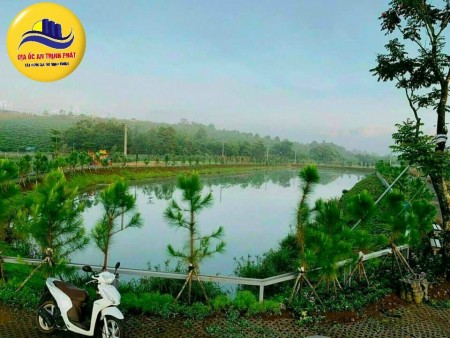 bán đât nghỉ dưỡng bảo lộc sát bên đòi chè tâm châu tuyệt đẹp