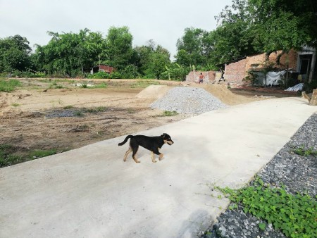 Đi đến slide 5
